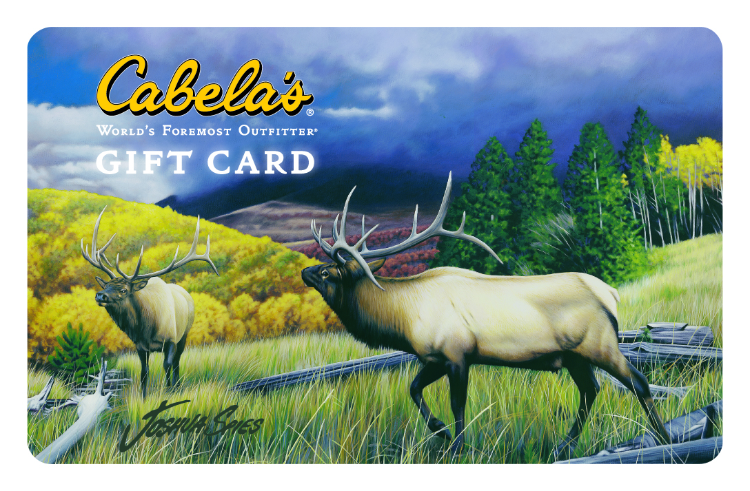 Gift Cards Promo Codes Xbox Cabela s Gift Card Granny Work